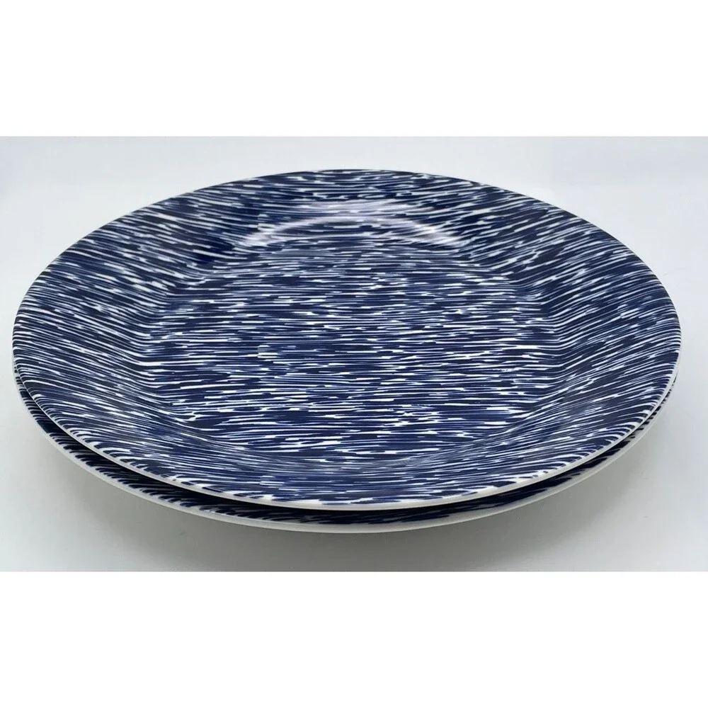 Set of 2 Royal Doulton Pacific Streaks 9.25
